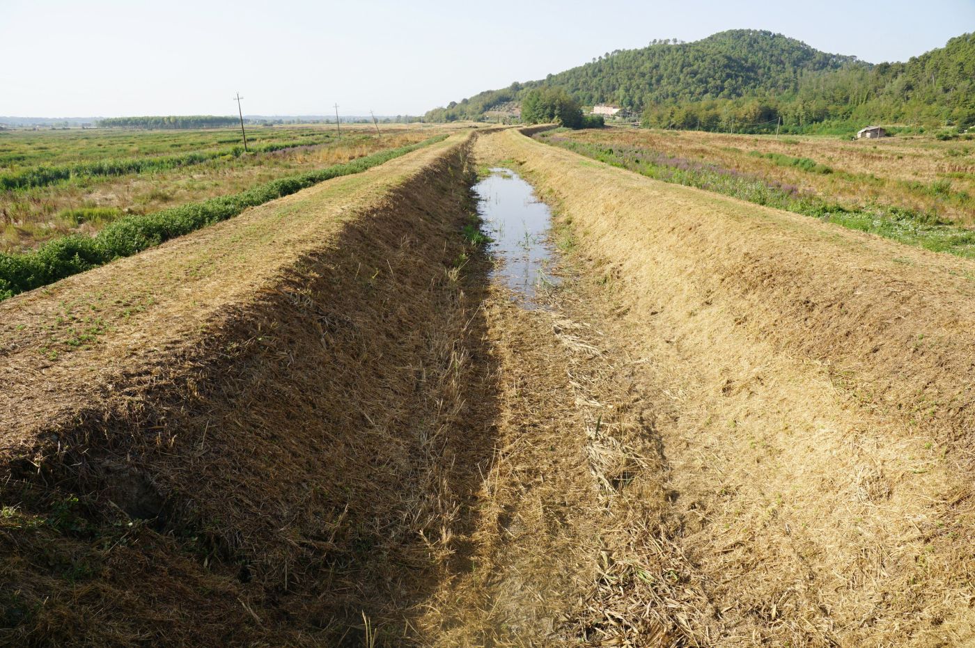 Emergenza caldo in Toscana, l'Autorità Idrica rassicura: 